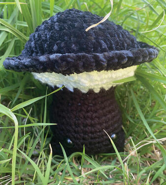 Black Velvet Mushie