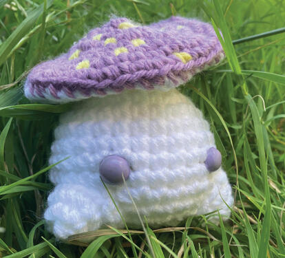 Spotted Cort Mushie