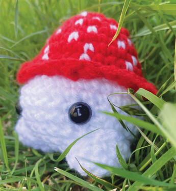 Fly Agaric Mushie