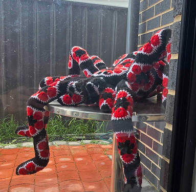 There's a Spider outside the window