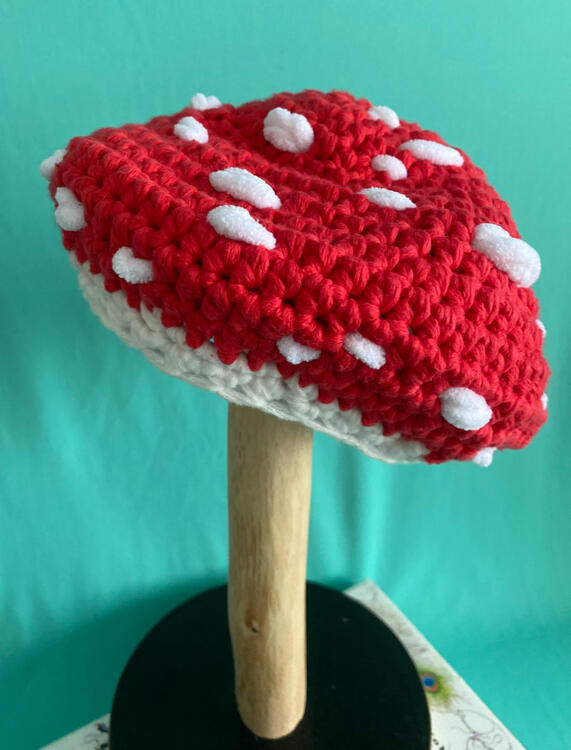Mushroom Beret