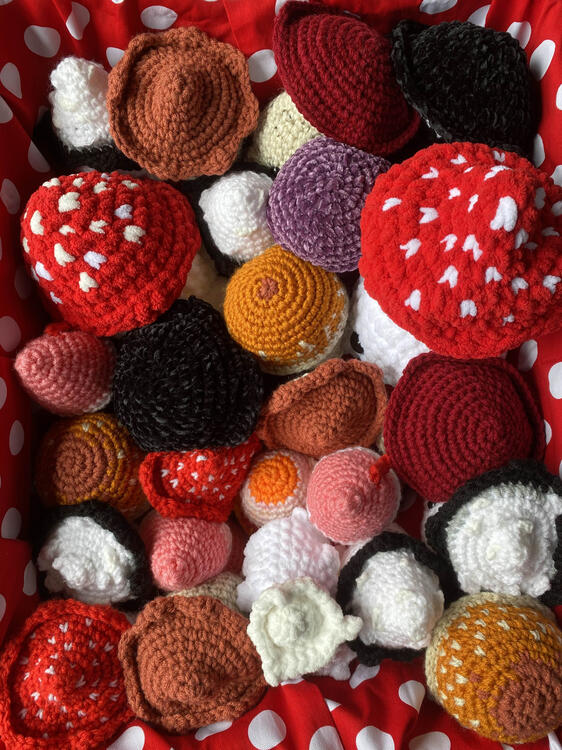 Gathering Mushies