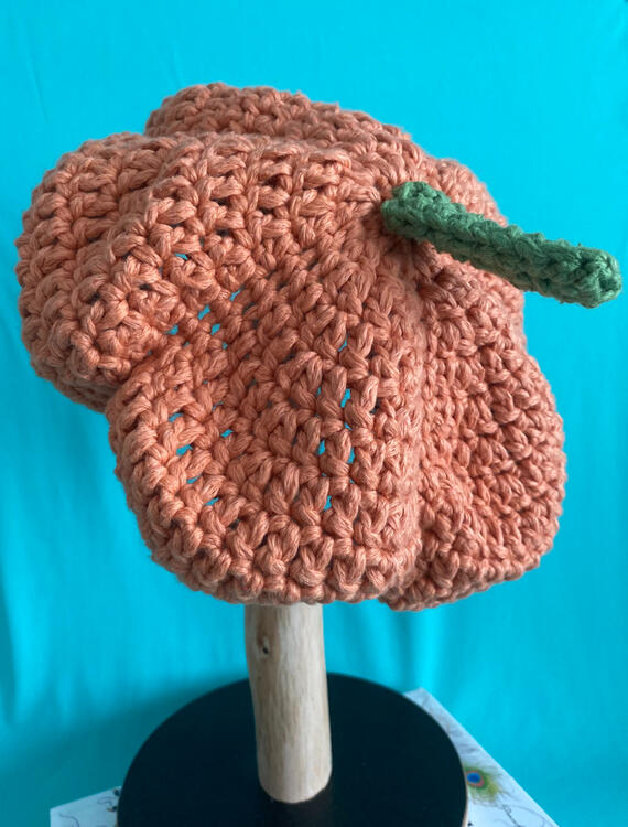 Pumpkin Beret