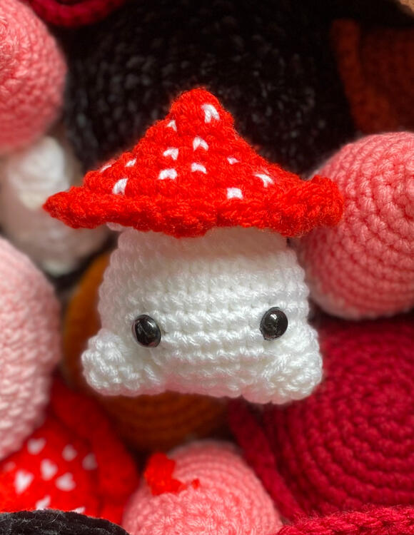 Fly Agaric