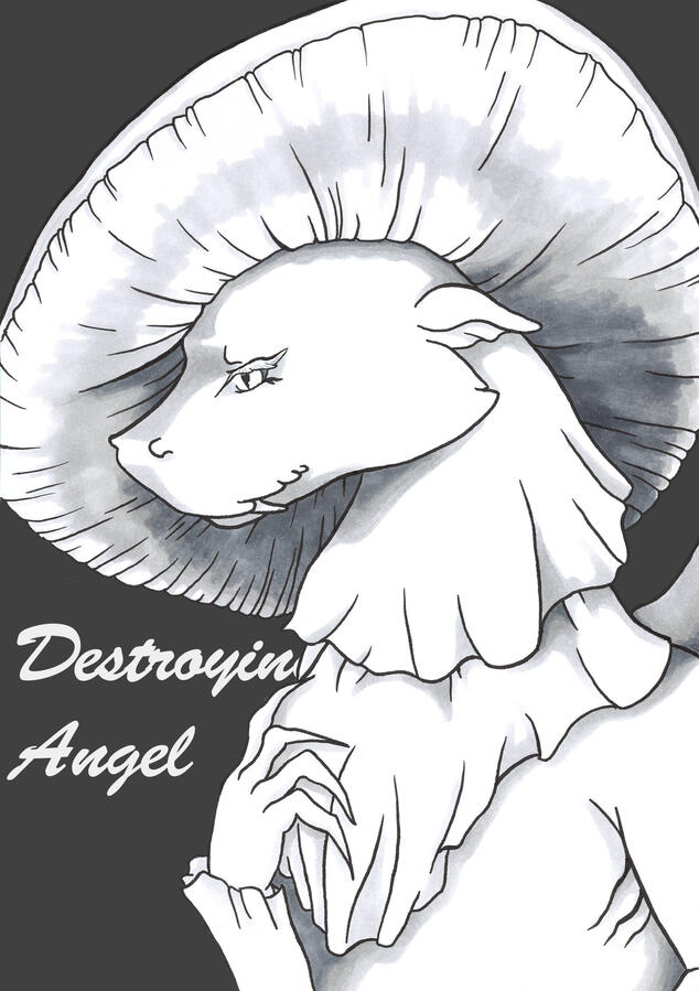 Destroying Angel Mushroom Dragon