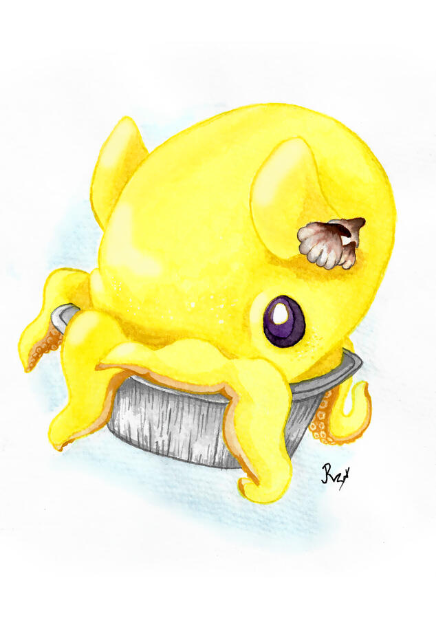 Cello (Lemon Tart Dumbo Octopus)
