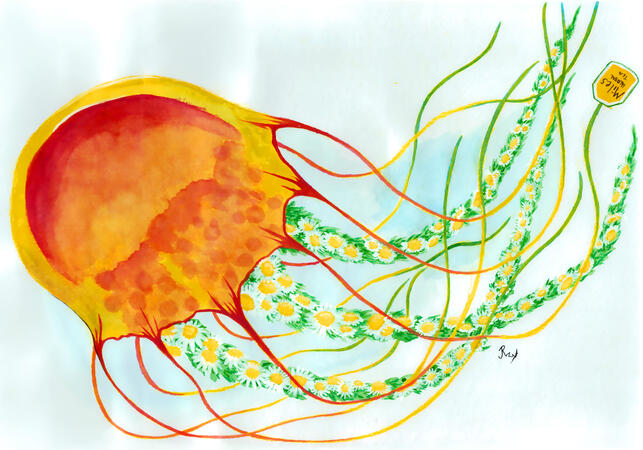 Miles (Chamomile Jellyfish)