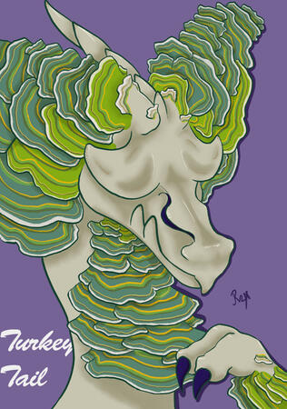 Turkey Tail Mushroom Dragon