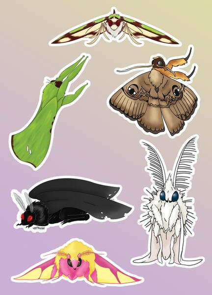 Moths Sticker Sheet