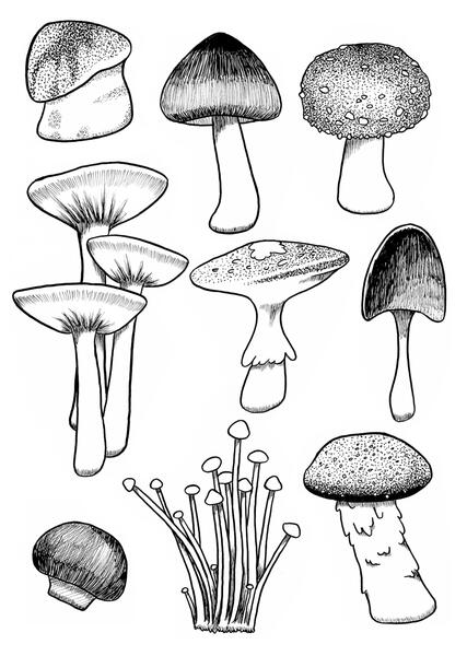 Mushroom Sticker Sheet
