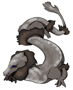Black Trumpet Mushroom Dragon